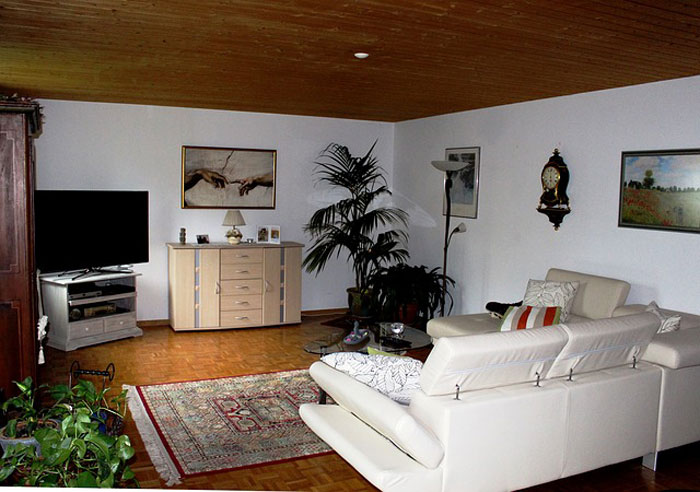 overall view of a living room